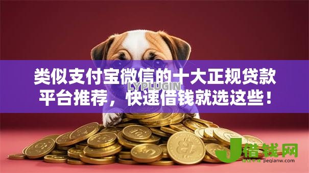 类似支付宝微信的十大正规贷款平台推荐，快速借钱就选这些！