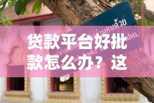 贷款平台好批款怎么办？这份避坑指南请收好