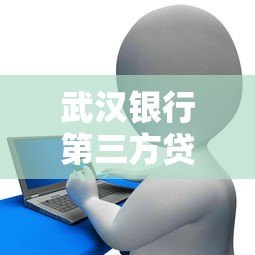 武汉银行第三方贷款平台申请指南：流程、优势及风险解析