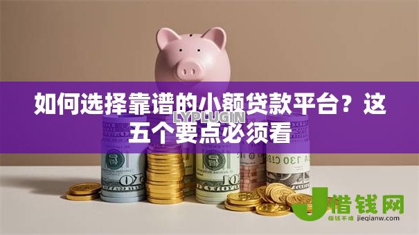 如何选择靠谱的小额贷款平台？这五个要点必须看