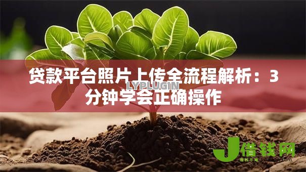 贷款平台照片上传全流程解析：3分钟学会正确操作