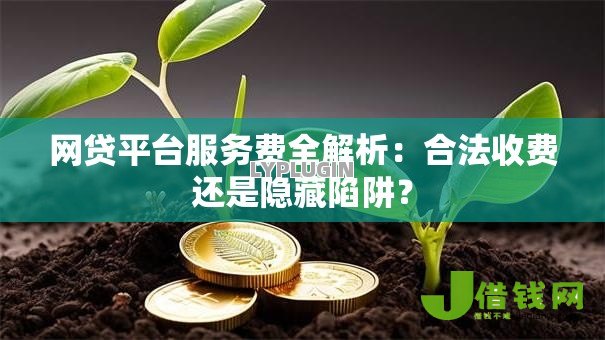 网贷平台服务费全解析：合法收费还是隐藏陷阱？