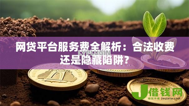 网贷平台服务费全解析：合法收费还是隐藏陷阱？
