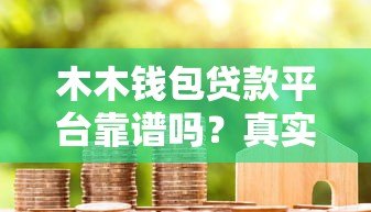 木木钱包贷款平台靠谱吗？真实用户评测与深度解析