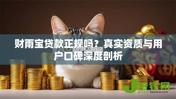 财雨宝贷款正规吗？真实资质与用户口碑深度剖析