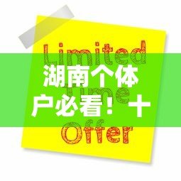湖南个体户必看！十大正规贷款平台推荐及申请攻略