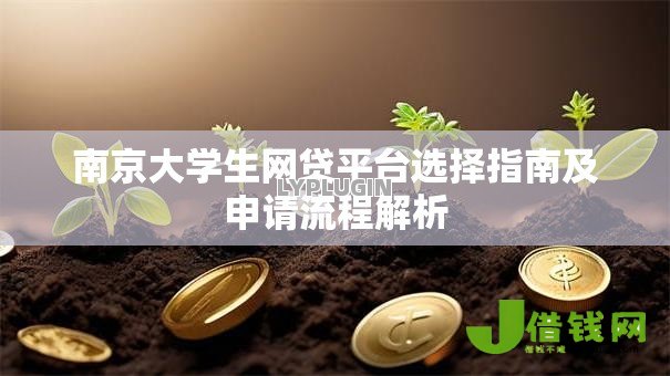 南京大学生网贷平台选择指南及申请流程解析