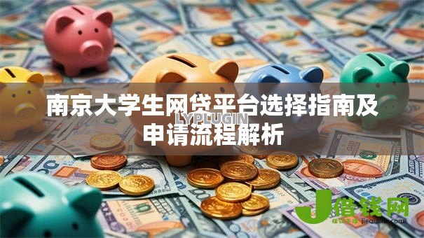 南京大学生网贷平台选择指南及申请流程解析
