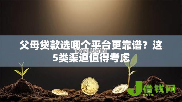 父母贷款选哪个平台更靠谱?这5类渠道值得考虑 父母贷款选哪个平台更靠谱?这5类渠道值得考虑