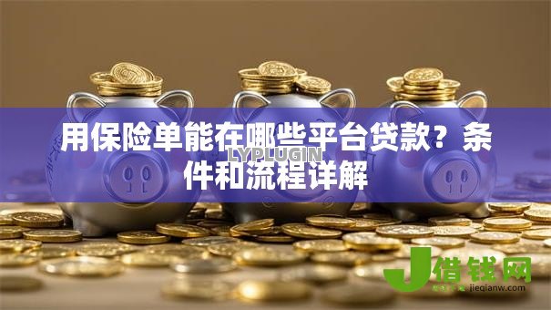 用保险单能在哪些平台贷款？条件和流程详解
