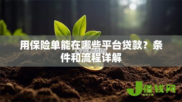 用保险单能在哪些平台贷款？条件和流程详解