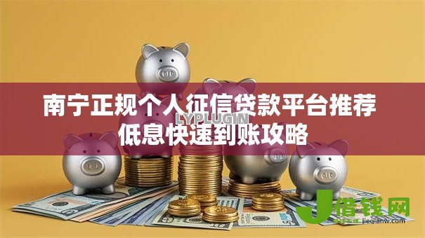 南宁正规个人征信贷款平台推荐 低息快速到账攻略