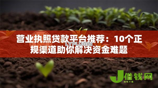 营业执照贷款平台推荐：10个正规渠道助你解决资金难题