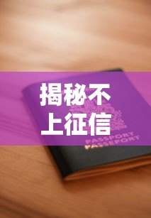 揭秘不上征信的贷款平台：大平台安全借款指南