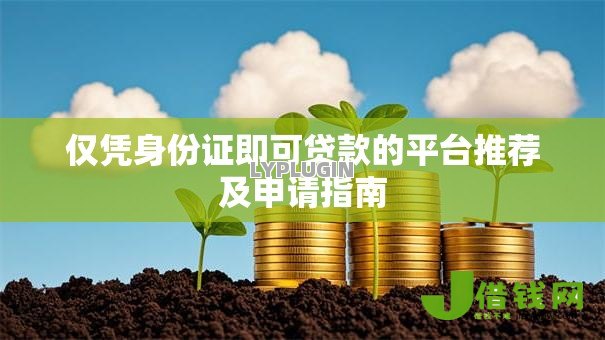 仅凭身份证即可贷款的平台推荐及申请指南