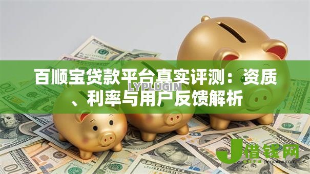 百顺宝贷款平台真实评测:资质、利率与用户反馈解析 百顺宝贷款平台真实评测:资质、利率与用户反馈解析