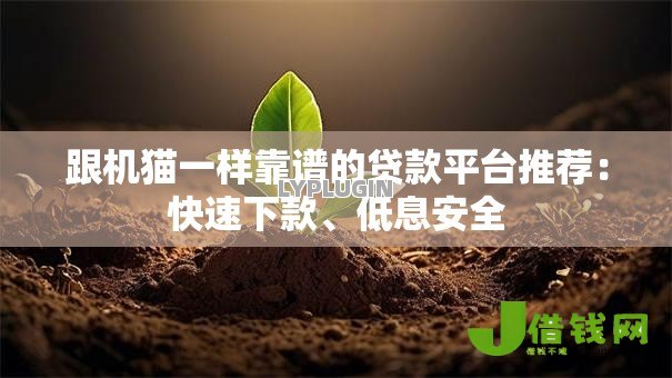 跟机猫一样靠谱的贷款平台推荐：快速下款、低息安全