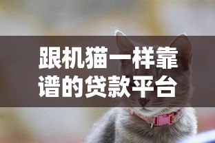 跟机猫一样靠谱的贷款平台推荐：快速下款、低息安全