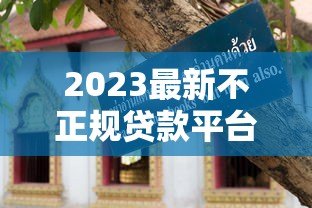 2023最新不正规贷款平台避坑指南:这5家千万别碰 2023最新不正规贷款平台避坑指南:这5家千万别碰