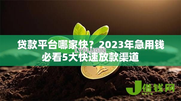 贷款平台哪家快?2023年急用钱必看5大快速放款渠道 贷款平台哪家快?2023年急用钱必看5大快速放款渠道