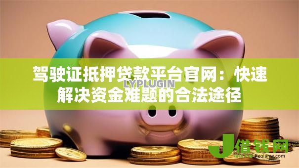 驾驶证抵押贷款平台官网：快速解决资金难题的合法途径