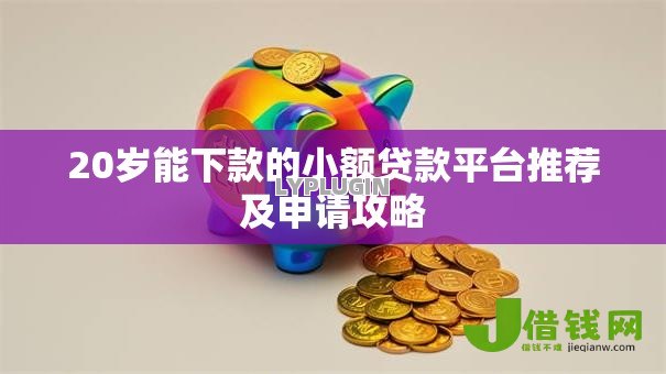 20岁能下款的小额贷款平台推荐及申请攻略