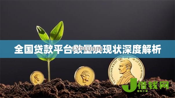 全国贷款平台数量及现状深度解析