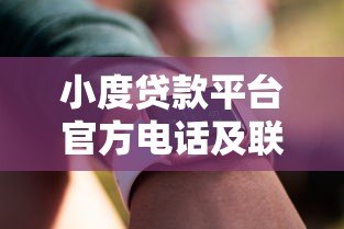 小度贷款平台官方电话及联系方式全解析