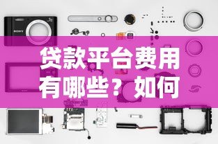 贷款平台费用有哪些？如何计算和节省成本