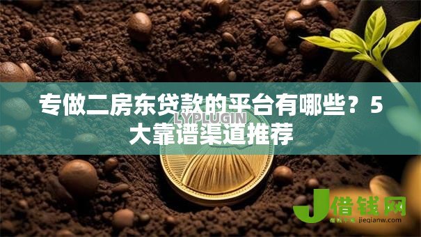 专做二房东贷款的平台有哪些?5大靠谱渠道推荐 专做二房东贷款的平台有哪些?5大靠谱渠道推荐