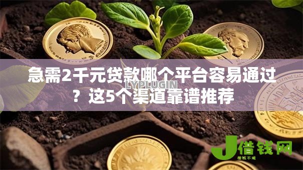 急需2千元贷款哪个平台容易通过？这5个渠道靠谱推荐