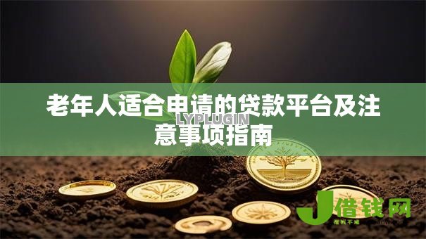 老年人适合申请的贷款平台及注意事项指南 老年人适合申请的贷款平台及注意事项指南
