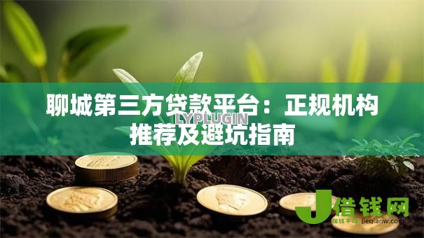 聊城第三方贷款平台：正规机构推荐及避坑指南