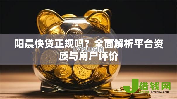 阳晨快贷正规吗？全面解析平台资质与用户评价