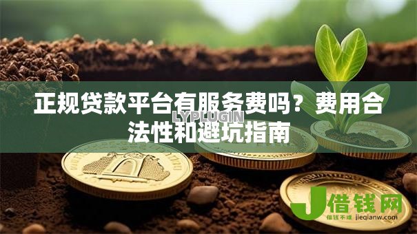 正规贷款平台有服务费吗？费用合法性和避坑指南