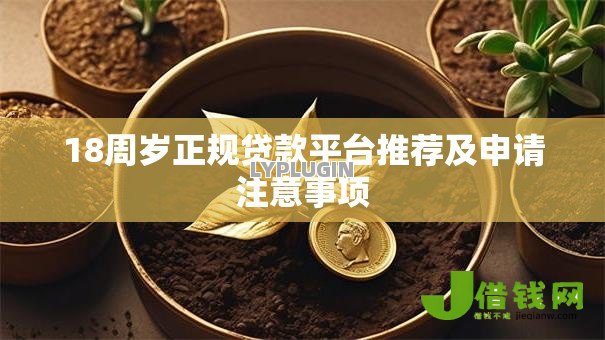 18周岁正规贷款平台推荐及申请注意事项 18周岁正规贷款平台推荐及申请注意事项
