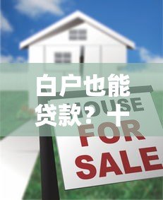 白户也能贷款?十大正规网贷平台推荐及申请攻略 白户也能贷款?十大正规网贷平台推荐及申请攻略