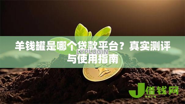 羊钱罐是哪个贷款平台？真实测评与使用指南
