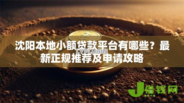 沈阳本地小额贷款平台有哪些？最新正规推荐及申请攻略