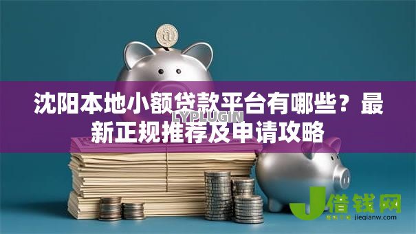 沈阳本地小额贷款平台有哪些？最新正规推荐及申请攻略