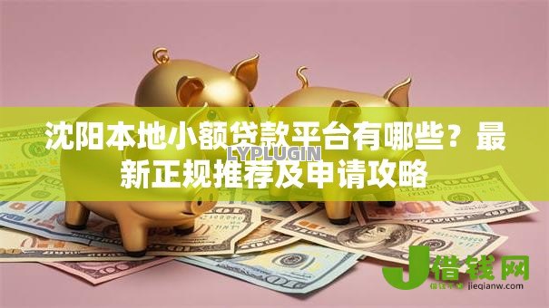 沈阳本地小额贷款平台有哪些？最新正规推荐及申请攻略