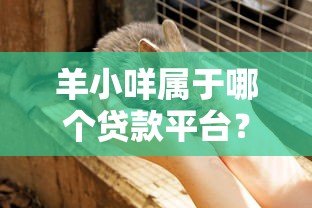 羊小咩属于哪个贷款平台？全面解析其背景与产品特点