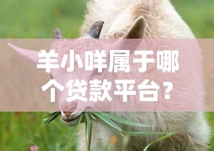 羊小咩属于哪个贷款平台？全面解析其背景与产品特点