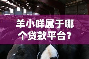 羊小咩属于哪个贷款平台？全面解析其背景与产品特点
