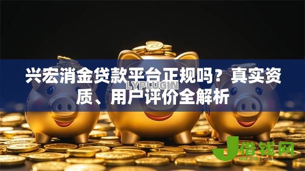 兴宏消金贷款平台正规吗？真实资质、用户评价全解析