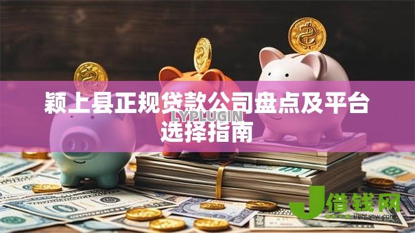颖上县正规贷款公司盘点及平台选择指南