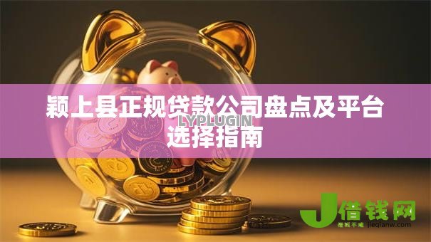 颖上县正规贷款公司盘点及平台选择指南