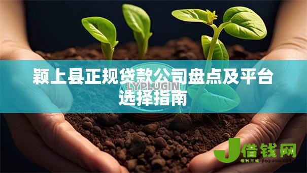 颖上县正规贷款公司盘点及平台选择指南