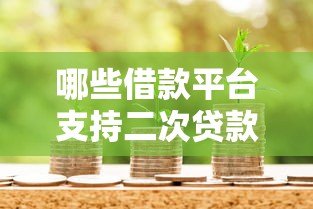 哪些借款平台支持二次贷款？最新推荐及申请攻略