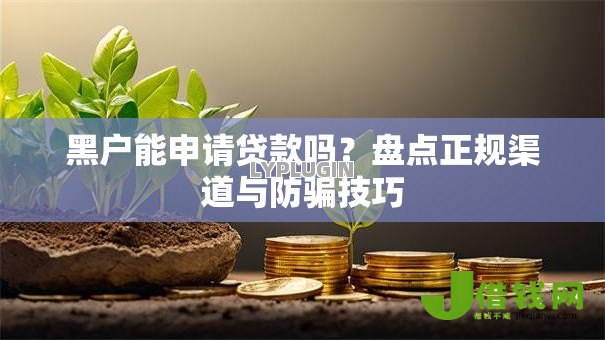 黑户能申请贷款吗？盘点正规渠道与防骗技巧
